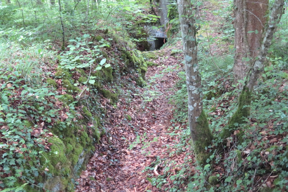 French Trench Montauville #4