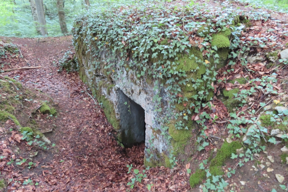 French Trench Montauville #5