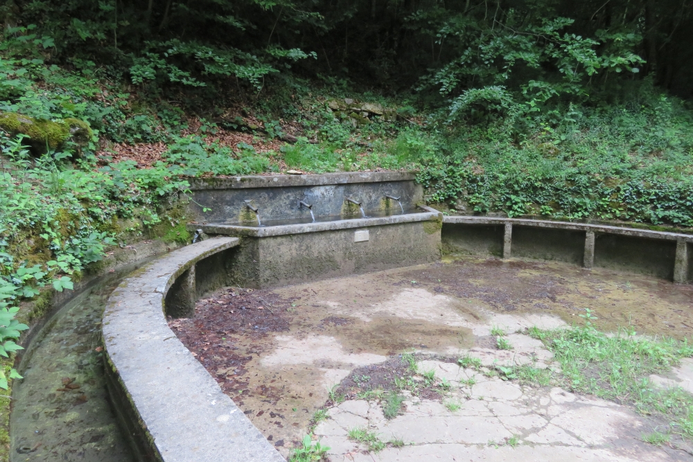  Von Oidtman Fountain Vilcey-sur-Trey #2