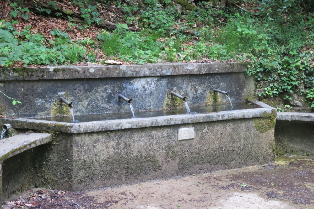  Von Oidtman Fountain Vilcey-sur-Trey #3