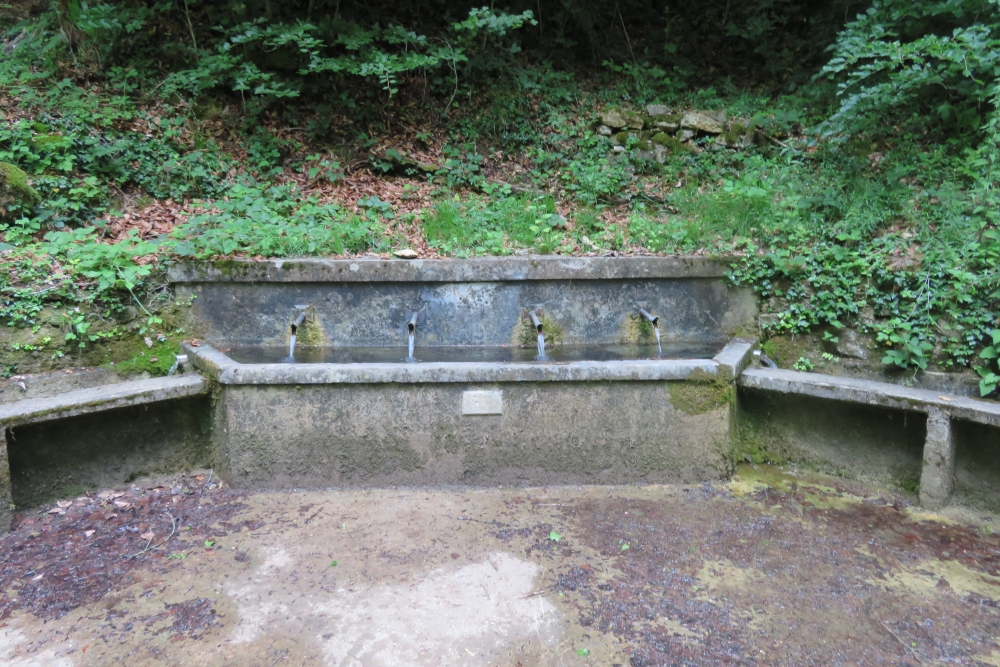  Von Oidtman Fountain Vilcey-sur-Trey #5