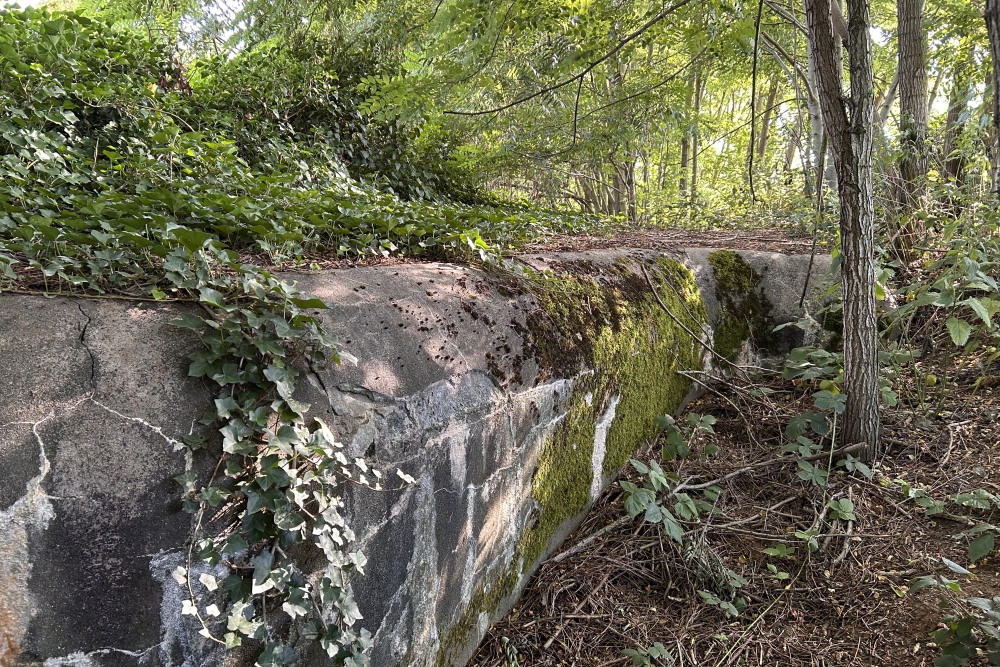 Bunker BN2 Border Defence Lanaken #1