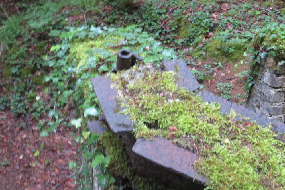 French Observation Bunker Forêt du Bois-le-Prêtre #3