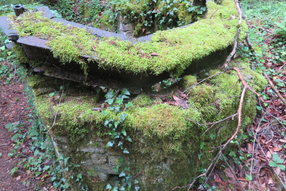 French Observation Bunker Forêt du Bois-le-Prêtre #4
