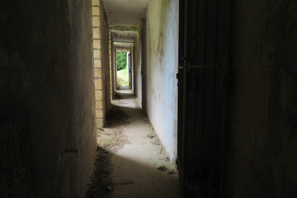 Bunker MF 2 Bras-sur-Meuse #3