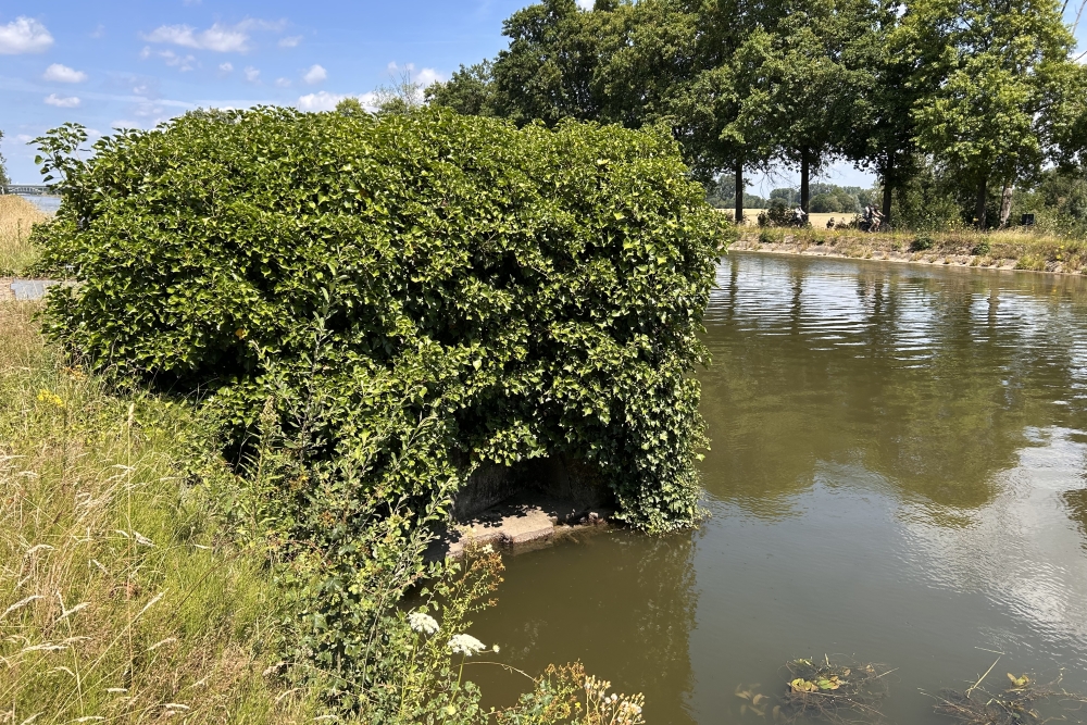 Bunker 49 Grensstelling Zuid-Willemsvaart #4