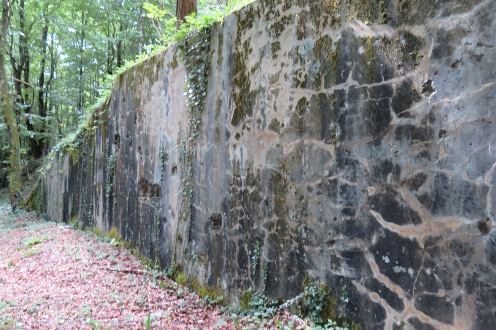 Batterij MF3 Bras-sur-Meuse #2
