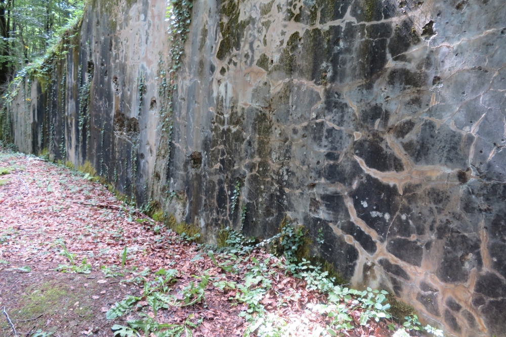 Batterij MF3 Bras-sur-Meuse #3