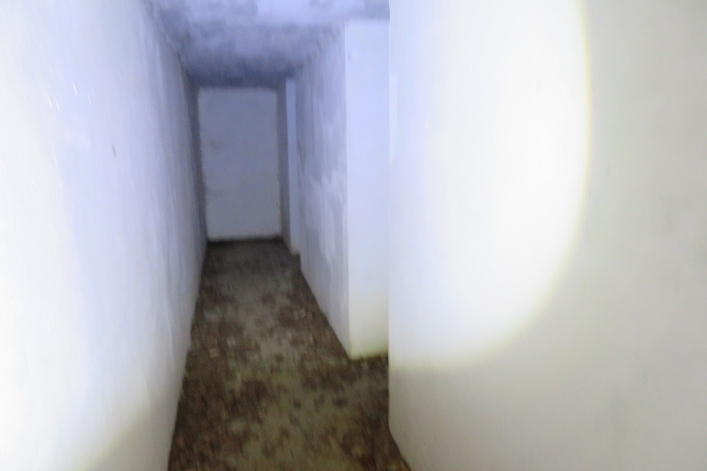 Batterij MF3 Bras-sur-Meuse #4