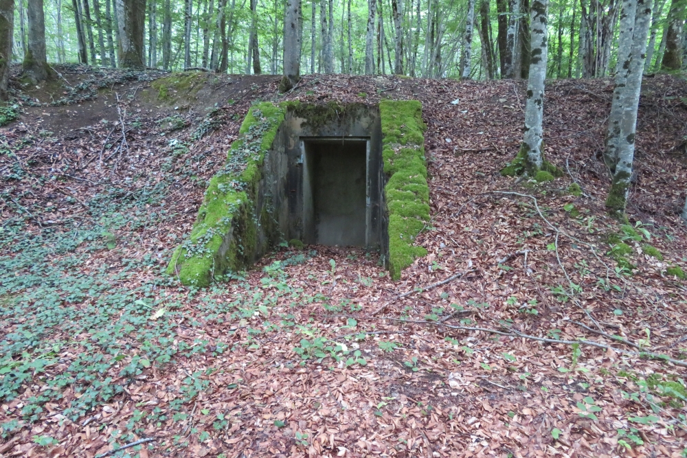Batterij MF3 Bras-sur-Meuse