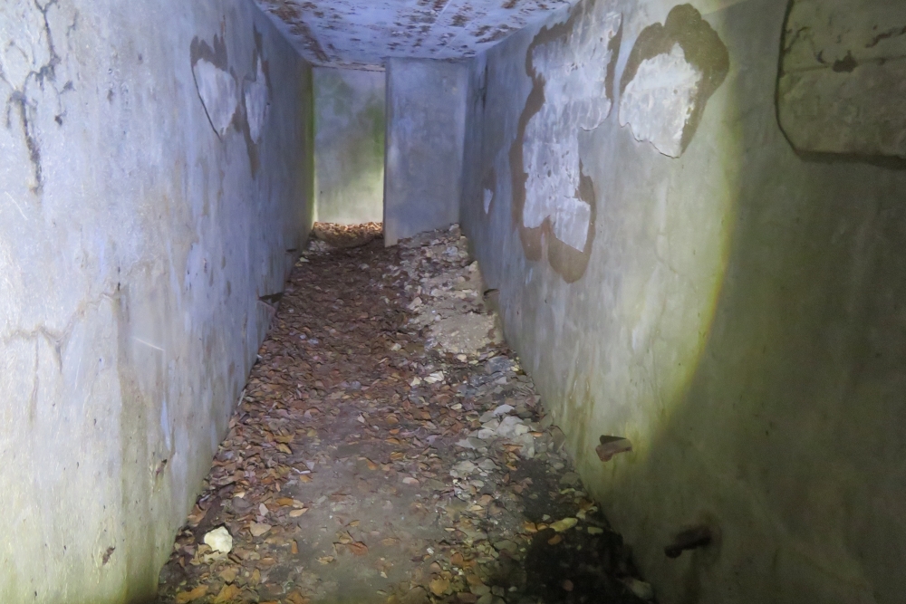 Batterij MF3 Bras-sur-Meuse #5