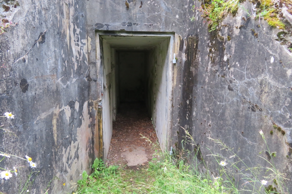 Batterij MF3 Bras-sur-Meuse #6