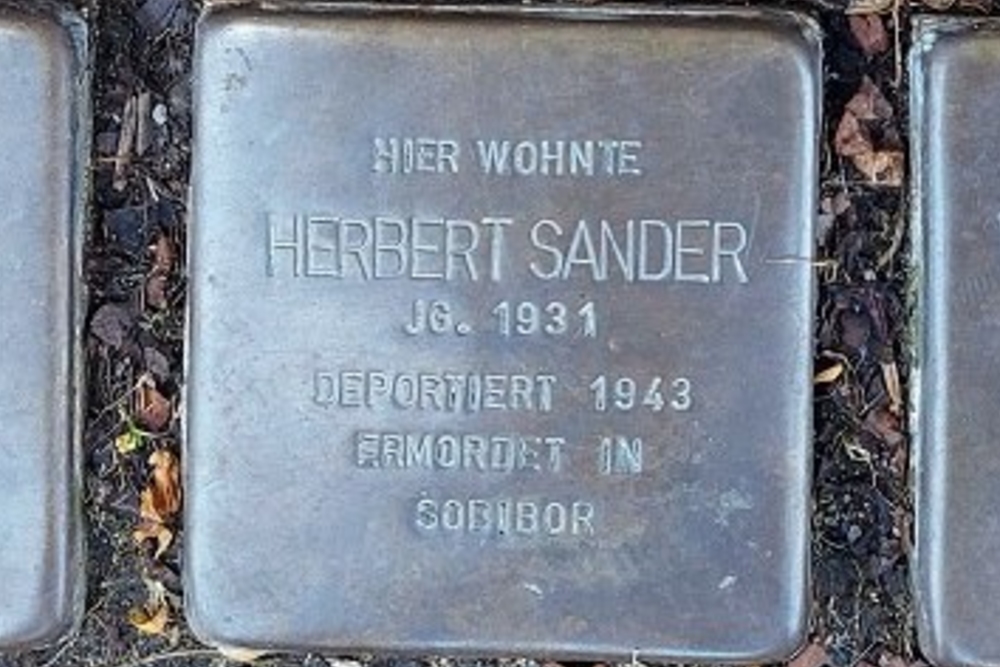 Stumbling Stones Oberstadt 16 #7