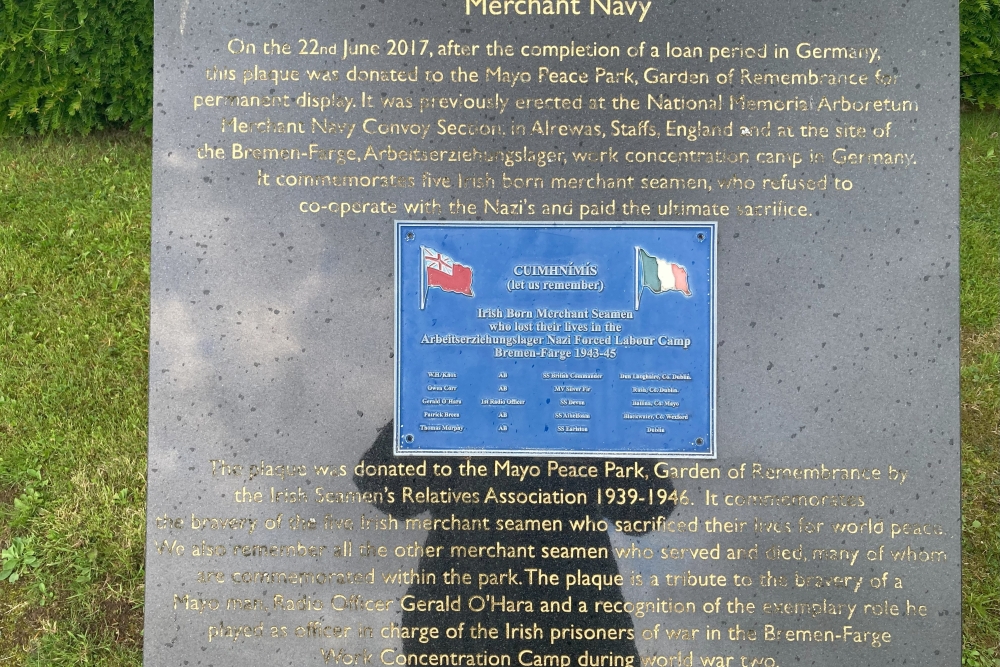 Oorlogsmonument Mayo #2