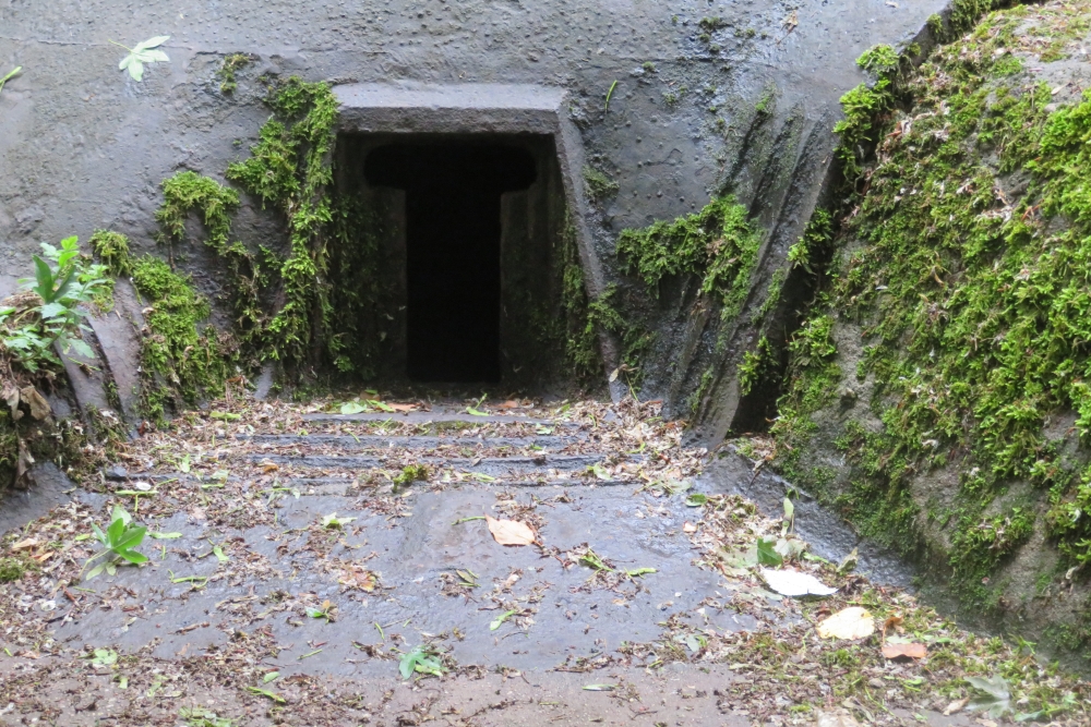 Pamart 3 Fort Souville #2