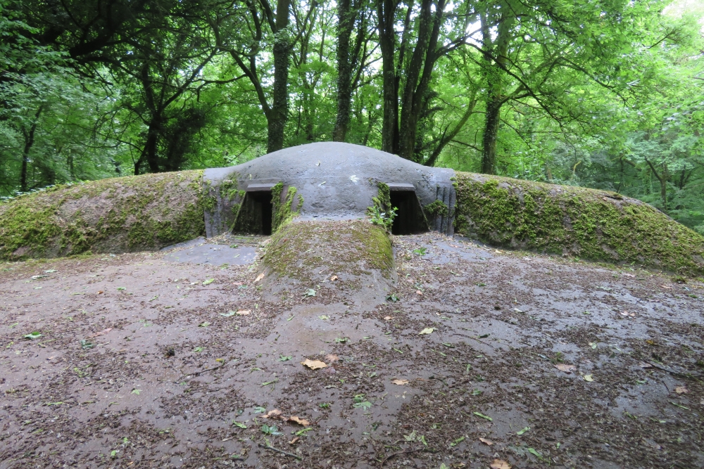 Pamart 3 Fort Souville #3