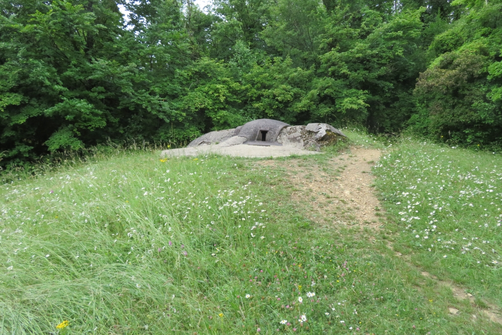 Pamart-kazemat Souville (B) #6