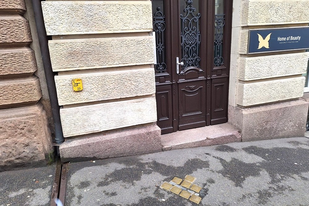 Stumbling Stones Stephanienstraße 2 #2