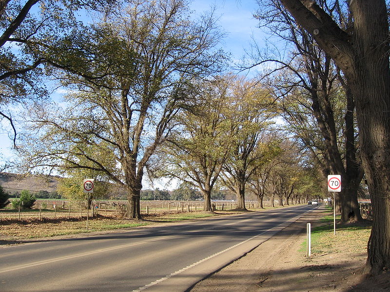 Avenue of Honour Bacchus Marsh #1