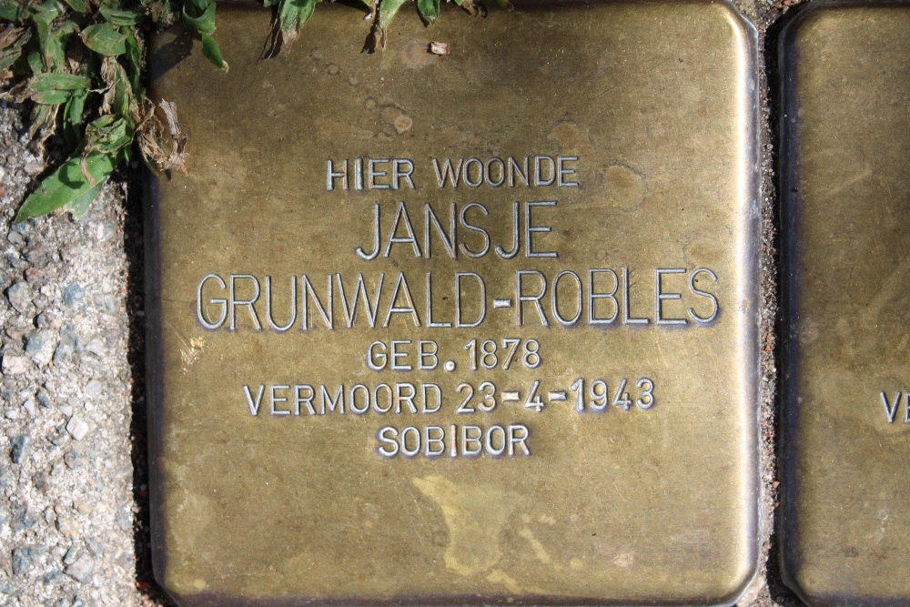Stolpersteine Havikslaan 35 #2