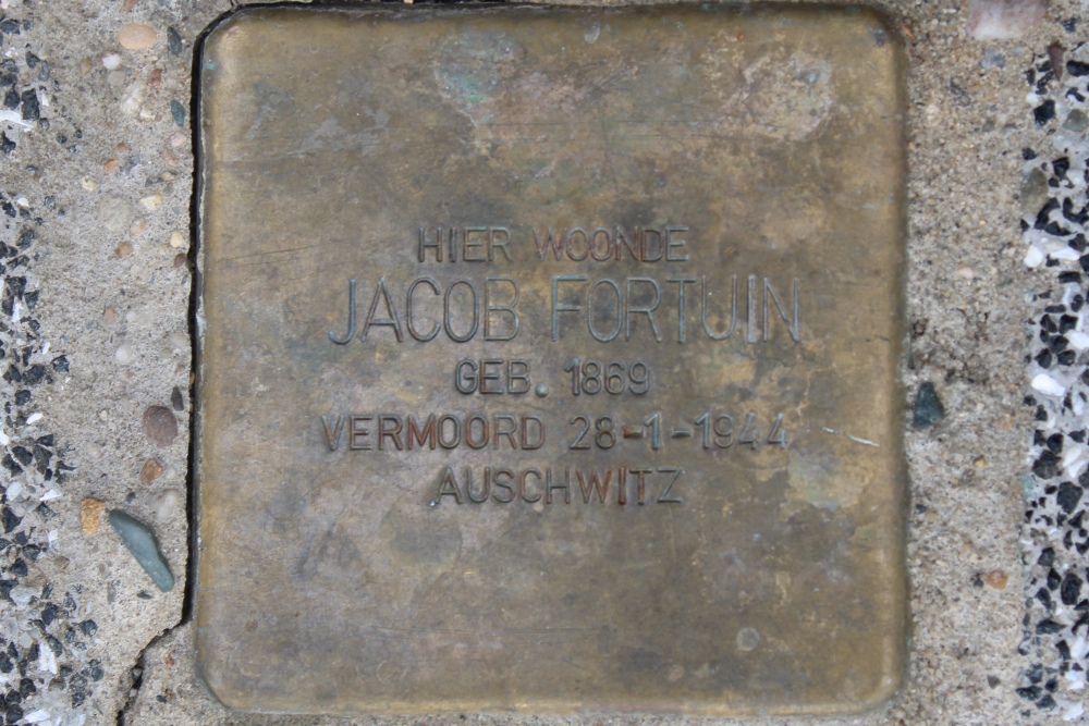 Stumbling Stones Wycker Smedenstraat 11 #2