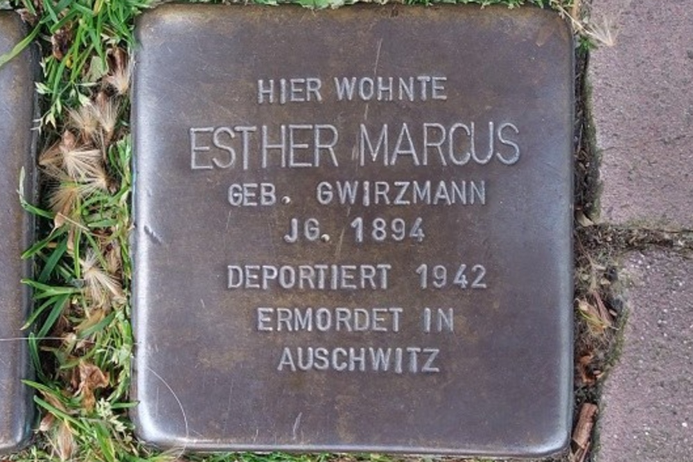 Stolpersteine Markt 12 #5