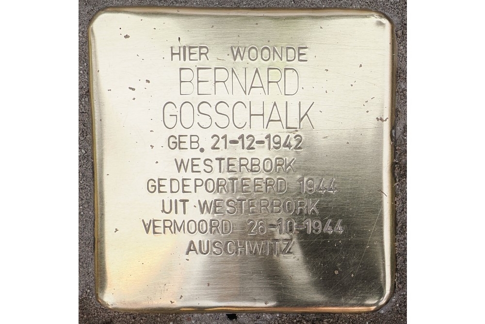 Stolpersteine Brinkgreverweg 228 (voorheen 172) #2
