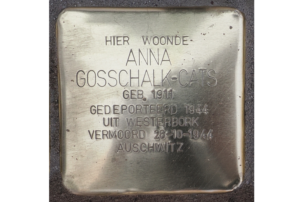 Stolpersteine Brinkgreverweg 228 (voorheen 172) #3