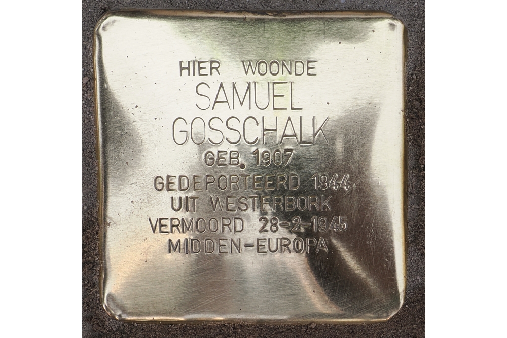 Stolpersteine Brinkgreverweg 228 (voorheen 172) #4
