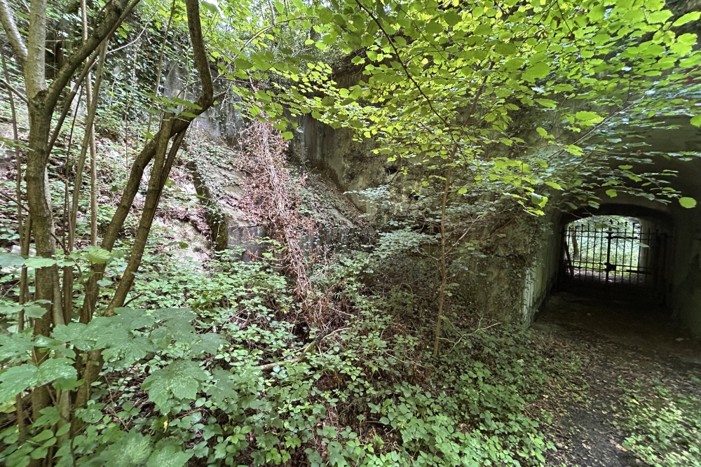 Fort de Maizeret #3