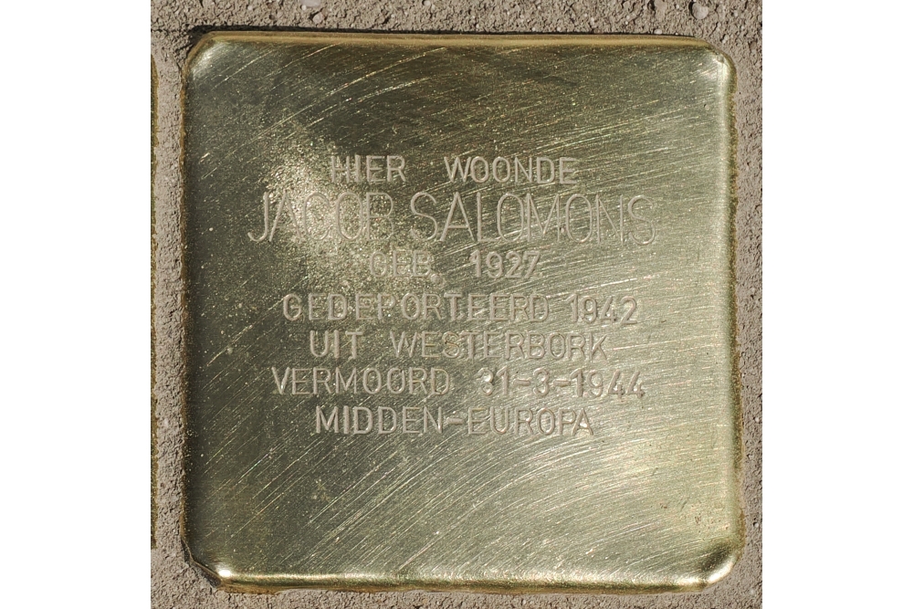 Stolpersteine  Loomanstraat 7  #2