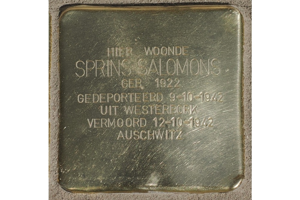 Stolpersteine  Loomanstraat 7  #3
