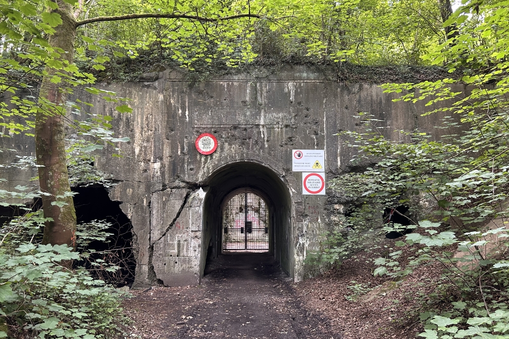 Fort de Dave