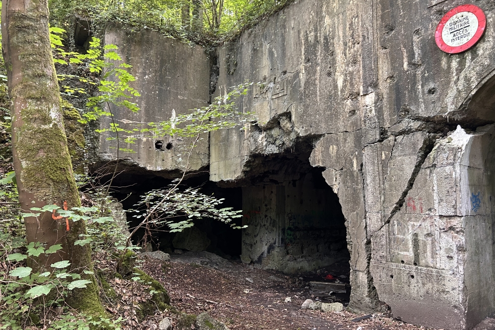 Fort de Dave #2
