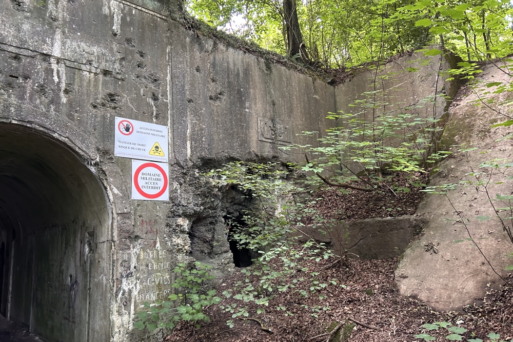 Fort de Dave #3
