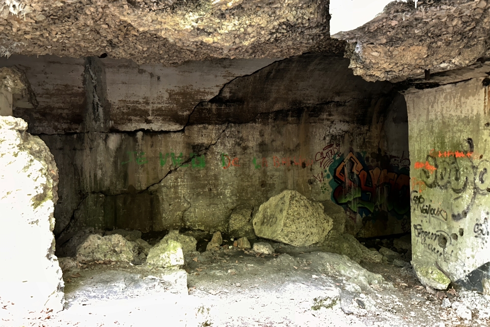 Fort de Dave #4