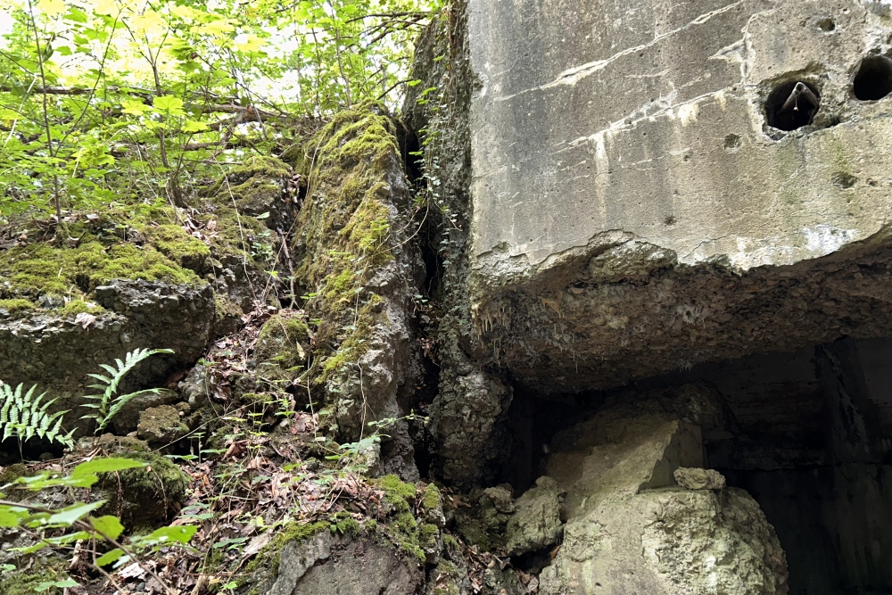 Fort de Dave #5