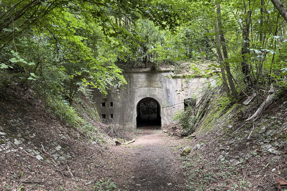 Fort de Cognelée