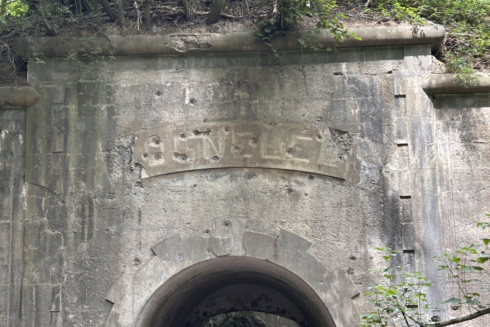 Fort de Cognelée #2