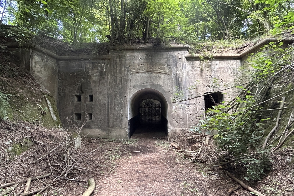 Fort de Cognelée #5