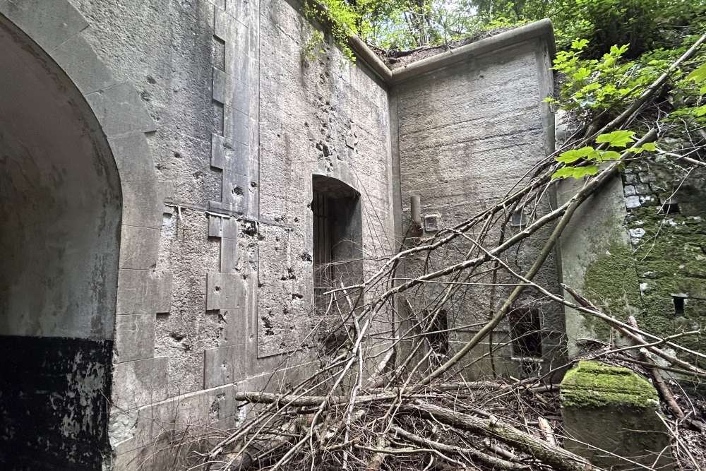 Fort de Cognelée #3
