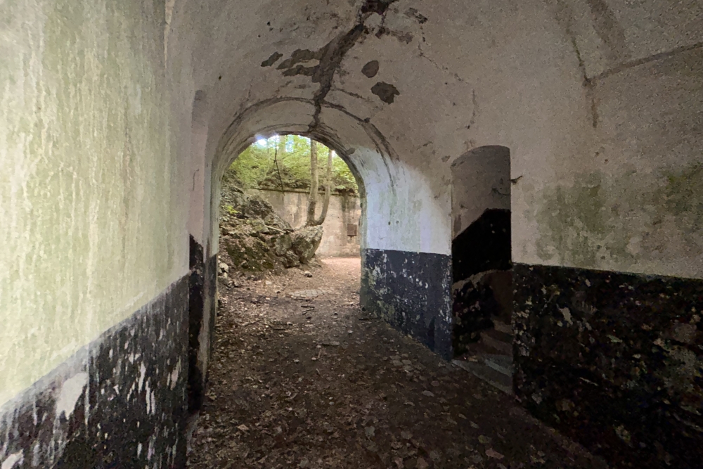 Fort de Cognelée #4