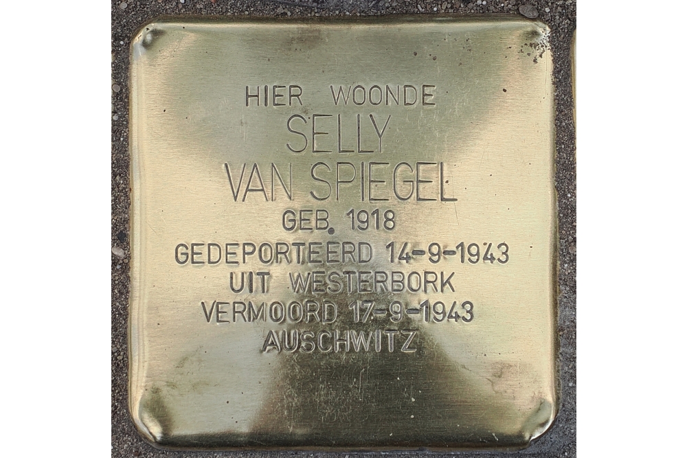 Stolpersteine Brink 18 (voorheen Brink 21) #3