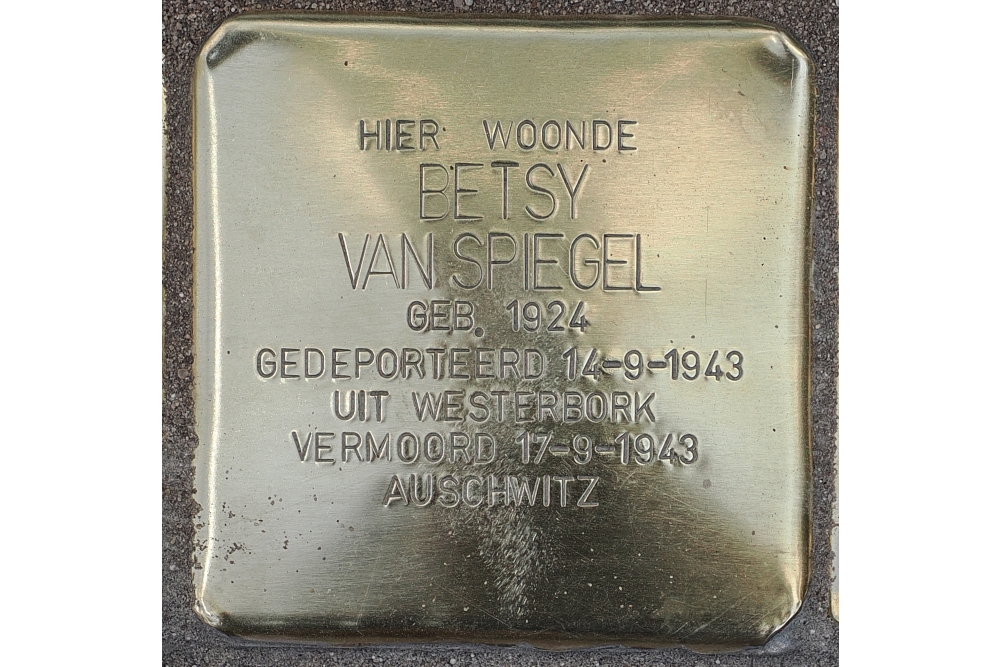 Stolpersteine Brink 18 (voorheen Brink 21) #4