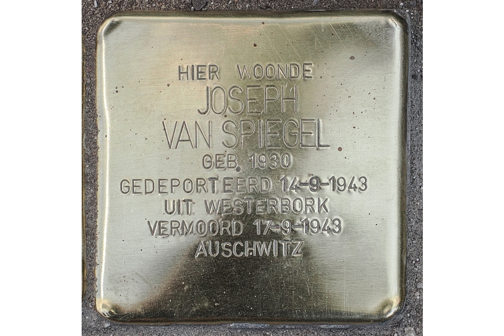 Stolpersteine Brink 18 (voorheen Brink 21) #5