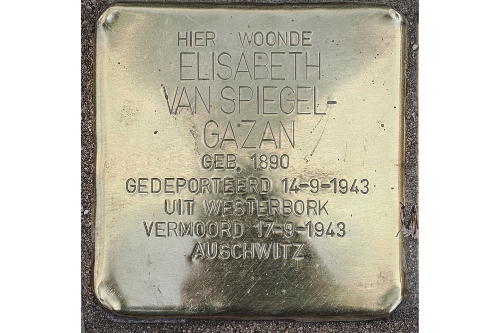 Stolpersteine Brink 18 (voorheen Brink 21) #6