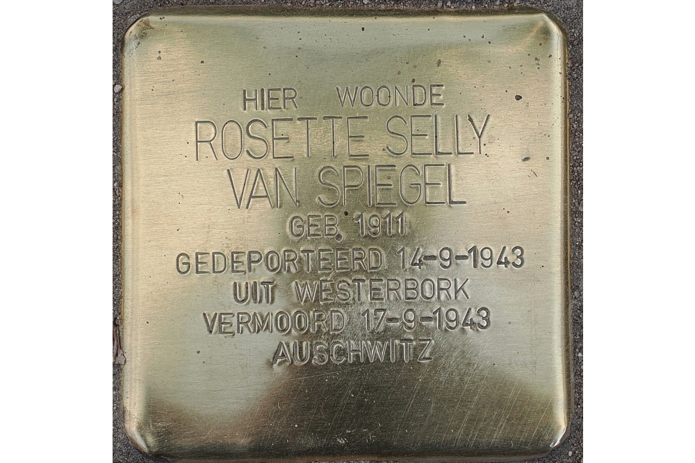 Stolpersteine Brink 18 (voorheen Brink 21) #7