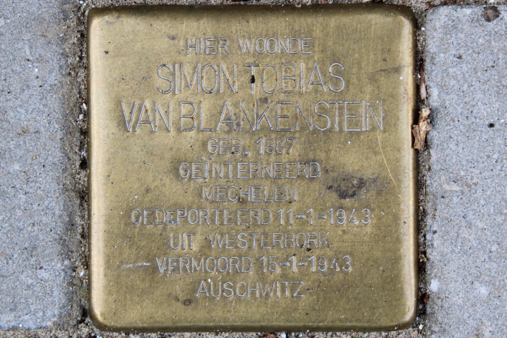 Stumbling Stone Van Soutelandelaan 45
