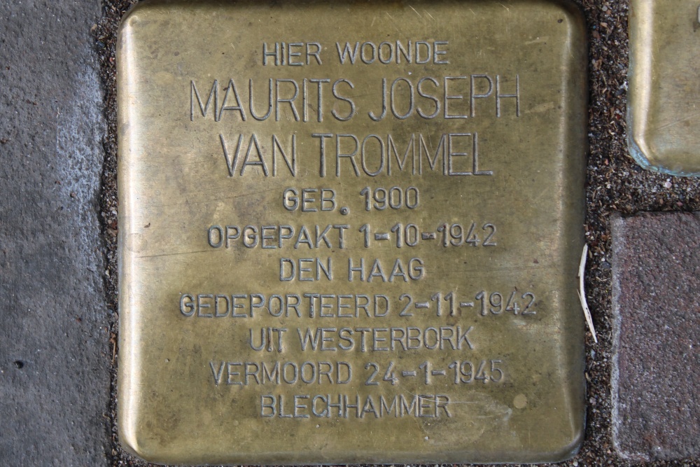 Stolpersteine Fahrenheitstraat 498 #2