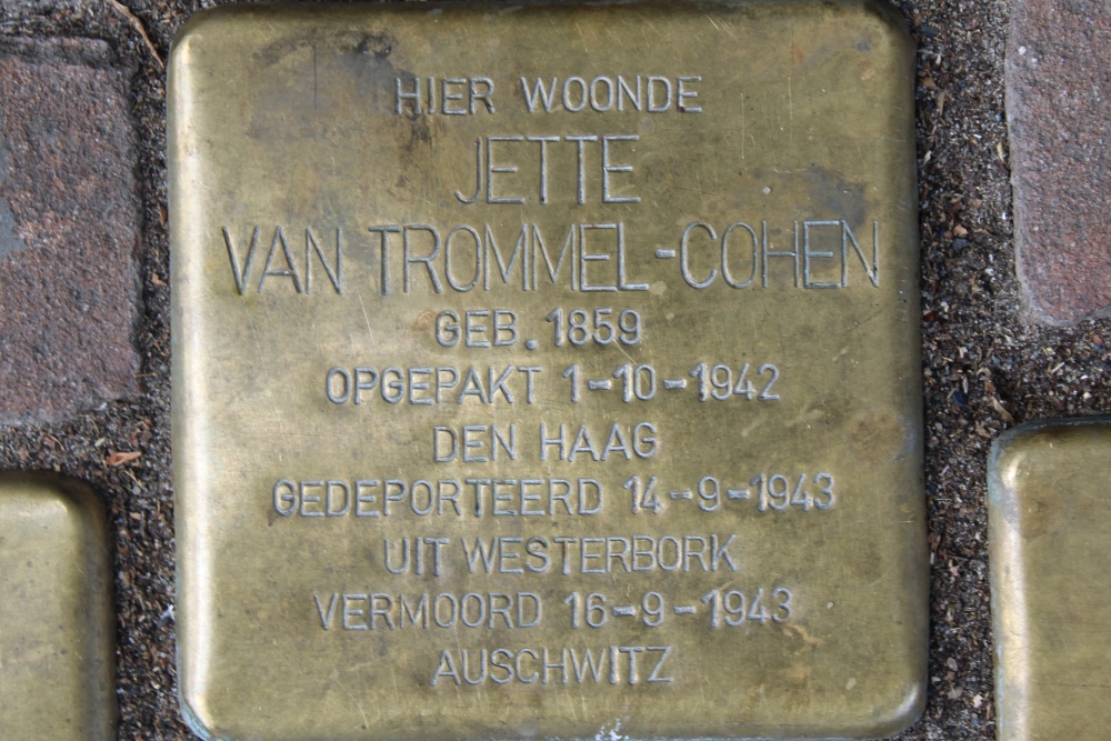 Stolpersteine Fahrenheitstraat 498 #3